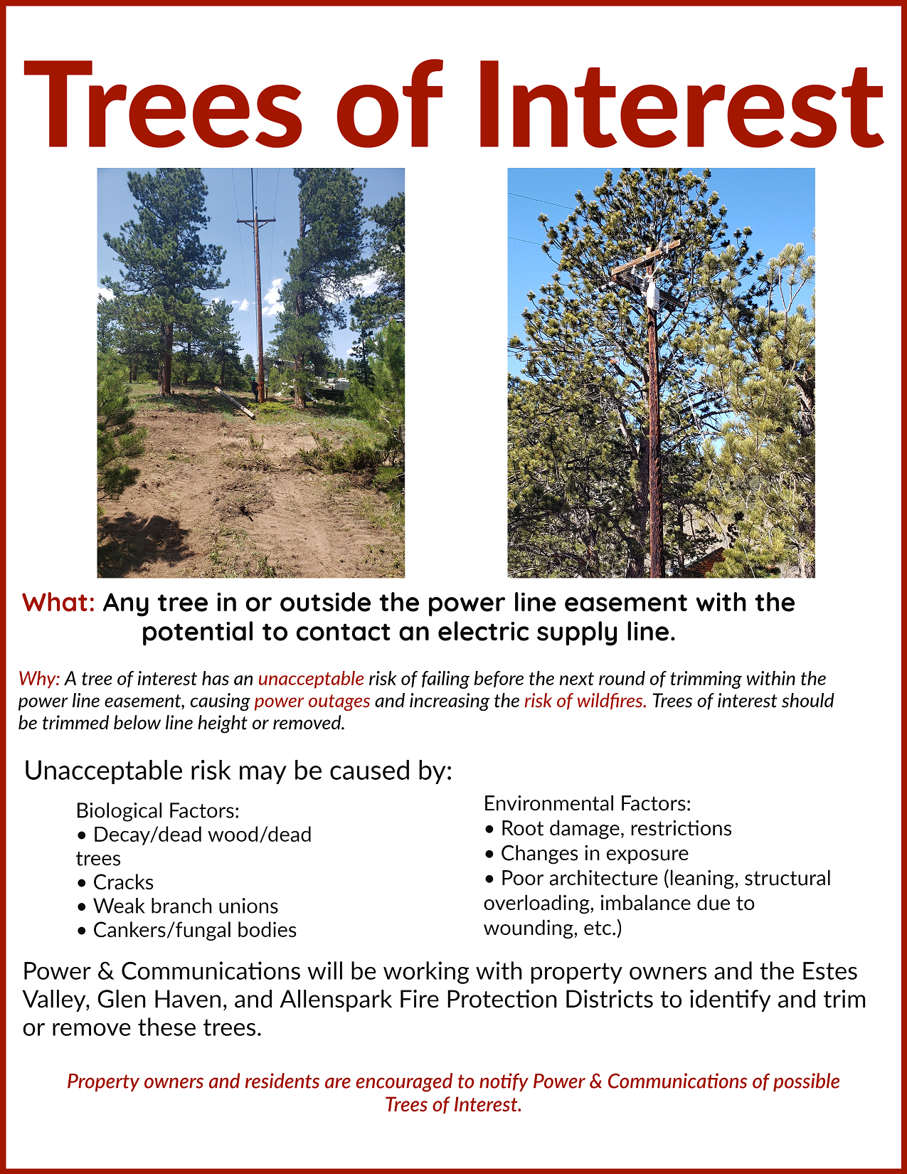 Flyer explaining trees that could endanger power lines