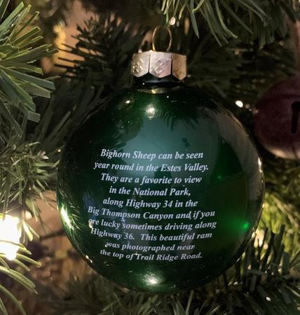 2020 Christmas Ornament Back