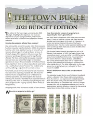 Budget Bugle 2021