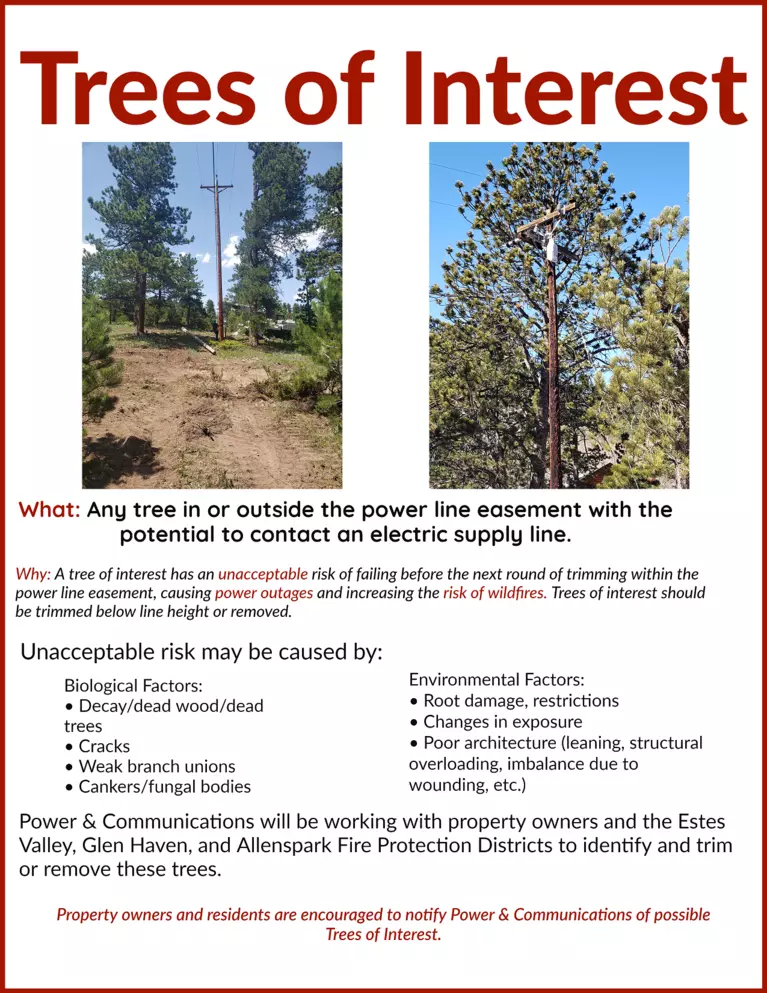 Flyer describing trees along power lines that could cause power outages or fires
