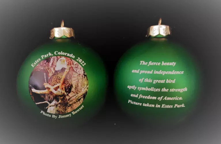 2022 Helping Hands Christmas Ornament - the Majestic Bald Eagle